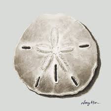 Use sand paint (recipe) or salt paint for textured finish. Treasure Cay Sand Dollar Ii Tracy Upton