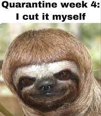 Pin On Lol Pics