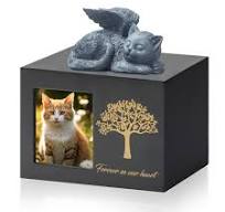 DiDiBirDi Urnes pour chat - Boîte de crémation pour animal de compagnie -  Urne pour cendres - Urne noire en bois pour cendres - Avec une statue de ...