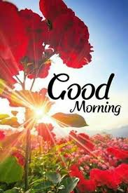 We hope you enjoy our growing collection of hd images to . 101 Best Good Morning Images Gifs For Whatsapp Facebook And Instagram Ub24news
