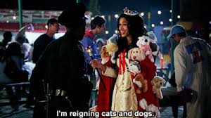 It rains cats and dogs when the monsoon comes in india. Reigning Cats And Dogs Clever Halloween Costumes Best Halloween Costumes Ever Halloween Costumes