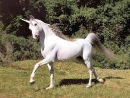 It became the symbol in the 15th century исправлено: The Unicorn And The Lion From The Pages Of History