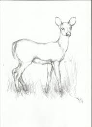 Maybe you would like to learn more about one of these? Easy Pencil Drawing Images Animals Novocom Top