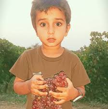 Thoha Mehram Khan Fruit Farm