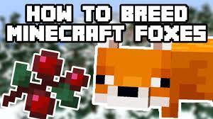 Will a fox follow you? How To Breed Minecraft Foxes Minecraft 1 14 Update Youtube