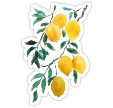 Yellow Lemon 2018 Stickers By Colorandcolor Redbubble Redbubble Teespring Tshirt Etsy Phonecased Floral Stickers Homemade Stickers Tumblr Stickers