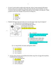 Pembahasan soal un biologi sma 2014. Soal Un Biologi Sma 2014 2015