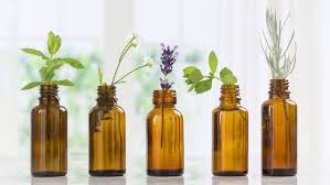 15 the alchemy of essential oils deanna minich