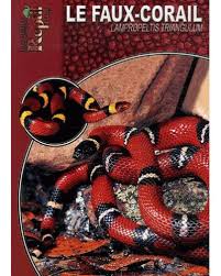 Le Serpent Faux Corail Lampropeltis Triangulum Broche Collectif Achat Livre Ou Ebook Fnac Et comme la nature n'en est pas à une taquinerie près, il existe un serpent totalement inoffensif qui lui ressemble les guyanais se posent donc systématiquement une question quand ils croisent ce serpent avec son habit clownesque: le serpent faux corail lampropeltis triangulum