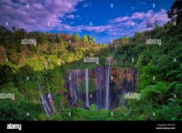 Cobán hi-res stock photography and images - Page 3 - Alamy