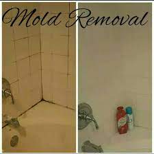 How To Mold Removal Remove Calcium Build Up Remove Hard Water Stains On Shower Glass Or Windows Remove Soap Scu Mold Remover Cleaning Mold Mold In Bathroom