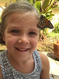 Butterfly house at Pleasant Grove