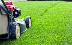 The services offered vary from one business to. Full Service Landscaping Capital Region Grasshopper Gardens
