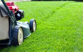 Find a trusted lawn care service near you. What Are The Advantages Of Professional Lawn Maintenance Services Page Design Pro