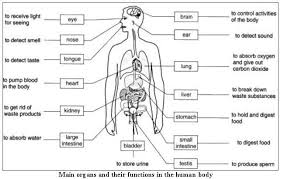 Pin On Health And Wellbeing