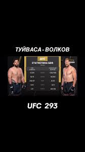 Туйваса-Волков #ufc #ufc293 #volkov #tuivasa #волков #туйваса #юфс  #юфсказахстан #юфс293 #ufcqazaqstan