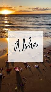 The word “aloha” is a profound and intentional expression from the Hawaiian  language. It encompasses a deep sense of love, peace, and compassion. Aloha  is more than simply a greeting or farewell; it’s ...