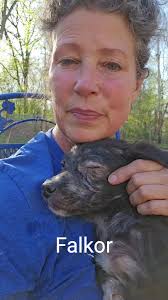 Saving Dog from The Dumpster with A Mattress