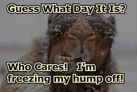 Pin On Humor Me Pics Etc