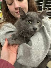 Profile for Ten Lives Club