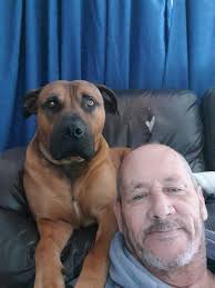 Farm life tv for dogs you tube me giving dog lap top so I can go clean up