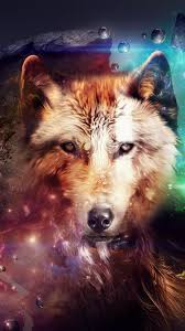 If you're in search of the best wolf wallpaper hd, you've come to the right place. Wolf Wallpaper 4k Ultra Hd For Android Apk Download