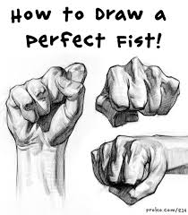 Drawing A Perfect Fist Hands In Action Human Anatomy Drawing Anatomy Drawing How To Draw Hands