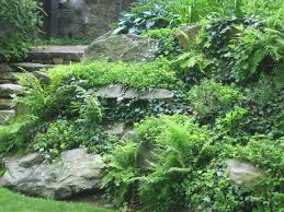 Terraces Garden With Rocks Fern Ivy Front Yard Landscaping Yard Landscaping Easy Garden