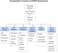 personnel organization chart organizational chart templates