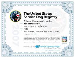 What Does A Service Dog Certificate Look Like Service Dogs Certificate Templates Id Card Template