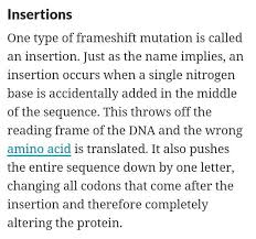 3rd Example Result Of Dna Mutation Mutation Dna Amino Acids