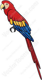 Bird drawings realistic drawings animal drawings drawing birds drawing animals wall drawing learn to paint learn to draw learn drawing. Scarlet Macaw Macaw Peacock Painting Cartoon