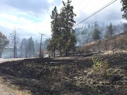 41 properites are under an evacuation order (see. Crews Gain Upper Hand In West Kelowna Fire Contain 60 Per Cent Of Blaze Cbc News