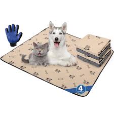 Washable dog incontinence pads 2025