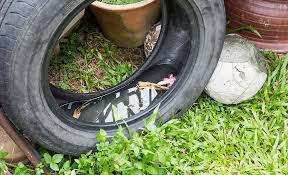 To keep mosquitoes away and out of your yard you really have to get rid of all standing water. How To Get Rid Of Mosquitoes The Home Depot