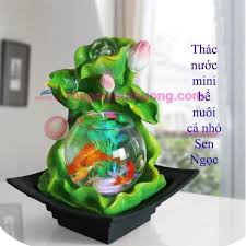Hồ Ca Thac Nước Mini để Ban Phong Thủy Hồ Ca Sen Ngọc Minis Phong Thủy Qua Tan Gia