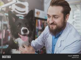 Grapevine based timberline veterinary hospital excels in the science of veterinary medicine since it was founded in 1999 by dr. Close Cheerful Vet Image Photo Free Trial Bigstock
