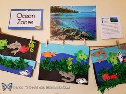 See more ideas about ocean unit, ocean zones, ocean habitat. Ocean Plants Ocean Commotion Preschool Theme