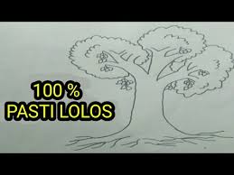 Sketsa gambar pohon apel di alam liar, pohon apel tumbuh dengan mudah dari benih, namun seperti banyak tanaman tahunan, apel biasa dikembangkan dengan aseksual secara okulasi. Psikotes Gambar Pohon Youtube