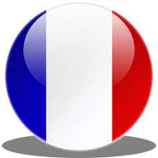 Download free static and animated french flag vector icons in png, svg, gif formats. Library France Flag Icon Png Transparent Background Free Download 18728 Freeiconspng