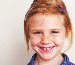 IMPACT REPORT FY2023-2024