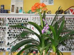 Couturier Saint Maur Des Fosses 94100 Tailleur Saint Maur Des Fosses Tous Voisins