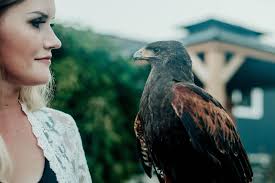 Free pest removal services for property owners in central Oregon