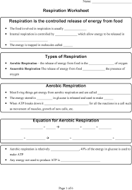 Today i want to share some free cellular respiration worksheets with you. Respiration Worksheet Respiration Is The Controlled Release Of Energy From Food Types Of Respiration Aerobic Respiration Pdf Free Download