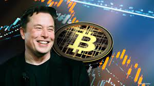 He became the richest man on the cointelegraph reached out to crypto and blockchain industry experts for their opinions on the i certainly hope he is not doing this as a pump and dump with selfish motivations. How Much Influence Does Elon Musk Really Have Over Crypto Market Fox Business Video