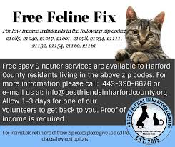 A female cat spay is generally fifteen to. Spay Neuter The Humane Society Of Harford County