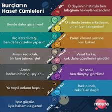 Nehir Turk Adli Kullanicinin Burclar Panosundaki Pin Burclar Astroloji Ikizler