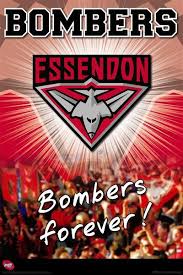 The current status of the logo is active, which means the logo is currently in. Afl Essendon Bombers Blue Dog Posters