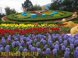 Places taipei, taiwan community organizationgovernment organization 陽明山國家公園. 20190219 é™½æ˜Žå±±èŠ±å­£ä¹‹æ—…by Scotthsu41çš„éŠè¨˜ æ—…è¯ç¶²