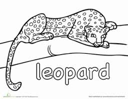 We have collected 40+ free rainforest coloring page images of various designs for you to color. Rainforest Coloring Pages Printables Education Com
